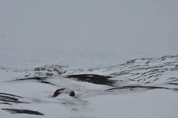 O infinito mundo gelado ao redor de Ilulissat, na Groelândia